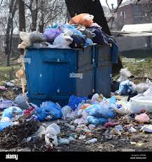 Best Yard Waste Removal  in Raceland, KY
